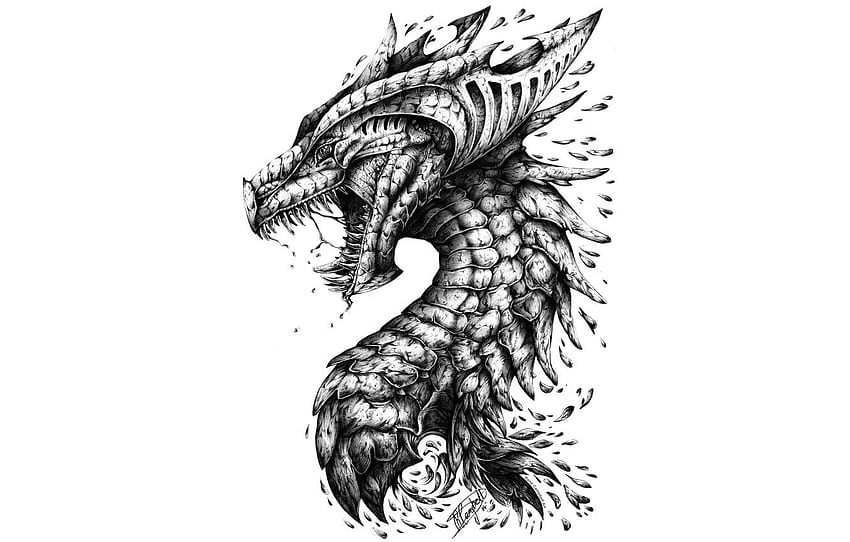 dragon, head, teeth, scales for , section минимализм HD wallpaper