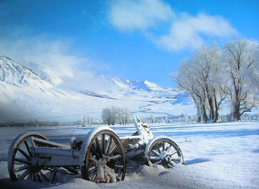 winter in Grand Teton, winter, blue, snow, landscape, nature, grand teton, wyoming HD wallpaper