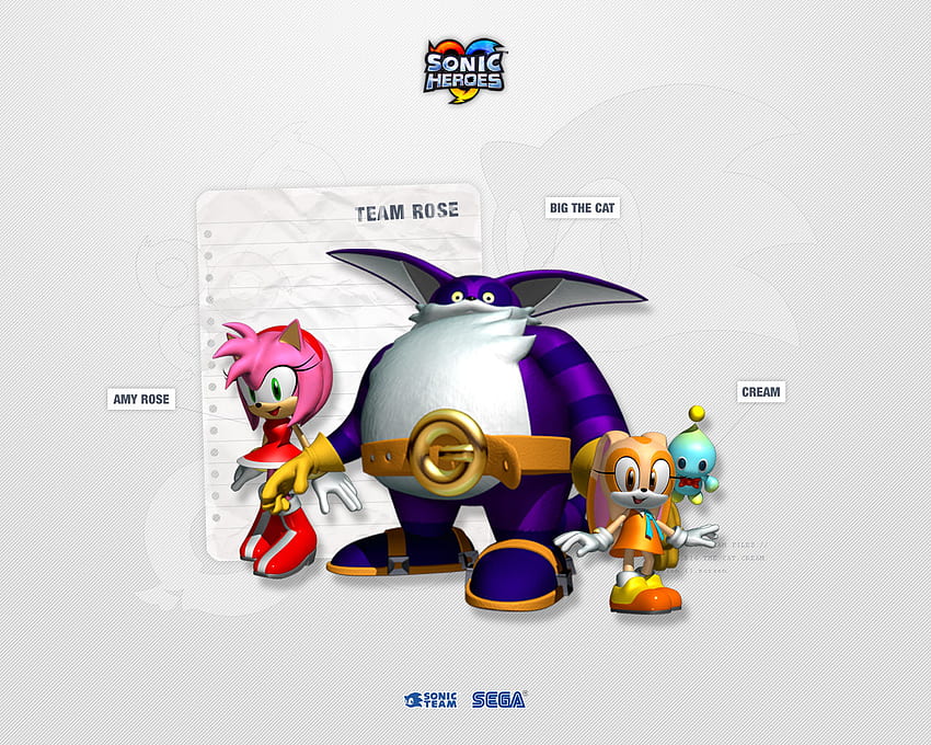 Sonic Heroes:Team Rose, sonic, big, cream, amy HD wallpaper