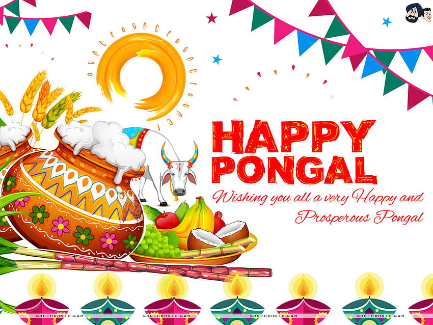 Happy Pongal, Wishing You All a Very Happy and Prosperous Pongal HD  wallpaper | Pxfuel