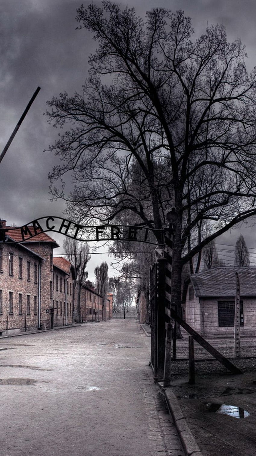 Auschwitz Concentration Camp Arbeit Macht Frei iPhone 6, History HD phone wallpaper