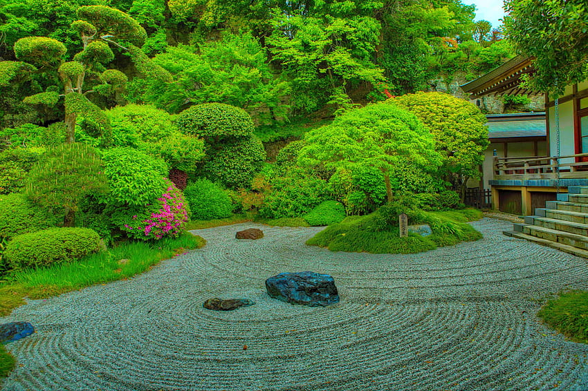 Japonya Kamakura RI Doğa Parkları Çalı Ağaçları Tasarımı HD duvar kağıdı