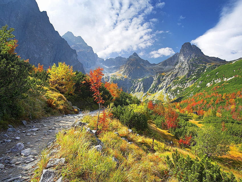 Nature, Stones, Mountains, Autumn, Road, Vegetation HD wallpaper