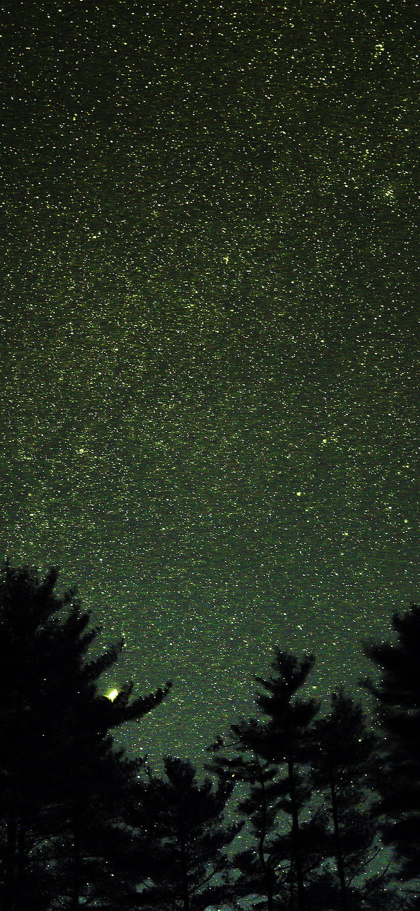 iPhone X . night sky star space starry wood dark green romantic, Olive Green HD phone wallpaper
