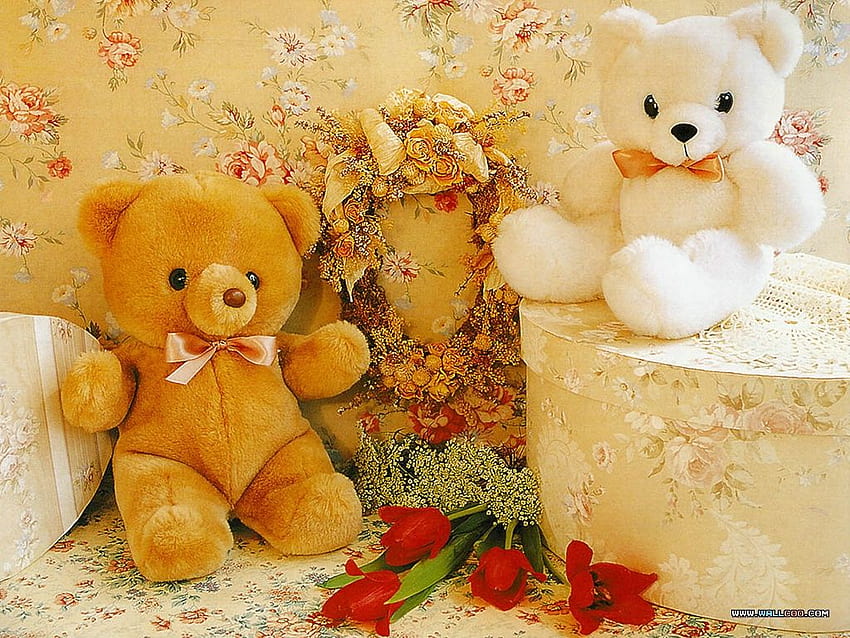 Teddy bears - Stuffed Animals HD wallpaper