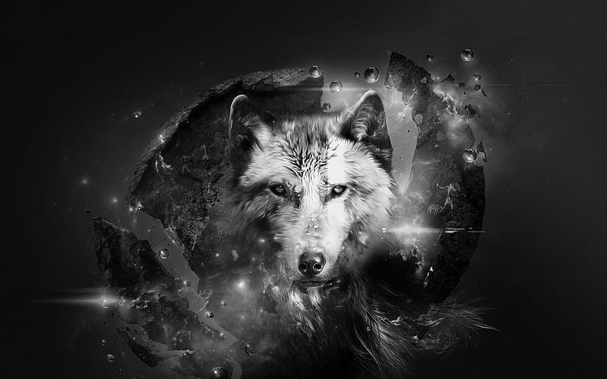 fantastic art. Wolf Lights Planet Abstract Fantasy Art, Ice Wolf HD wallpaper