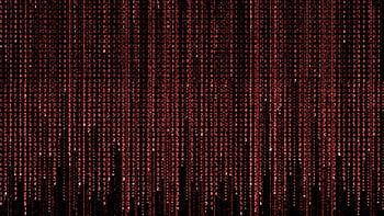 red binary background