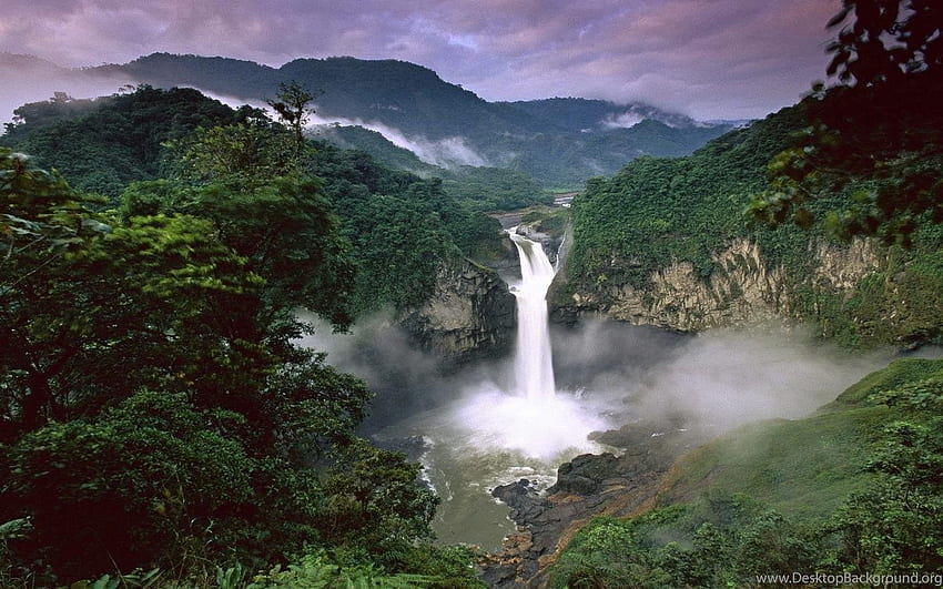 Rainbow Tropical Rainforest Waterfalls Cool Background HD wallpaper