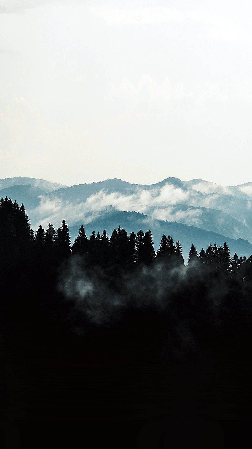 Berg Nebel Naturblick Holz Wald Dunkel Android - Android HD-Handy-Hintergrundbild