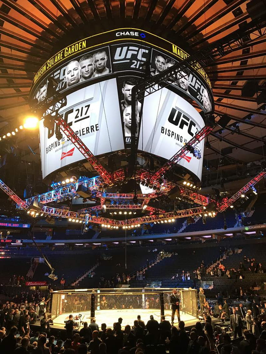 Mixed martial arts at Madison Square Garden, UFC Cage HD phone wallpaper