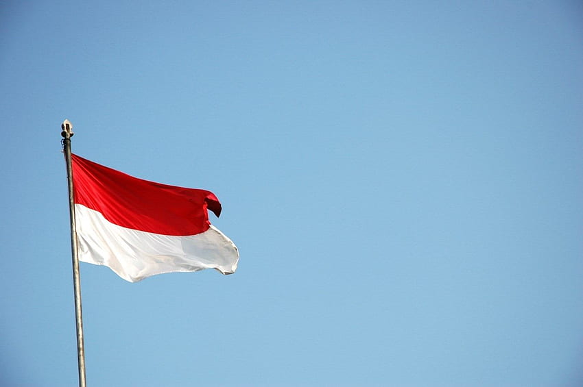 logo bendera indonesia - Buzz di 2019. Gambar HD wallpaper
