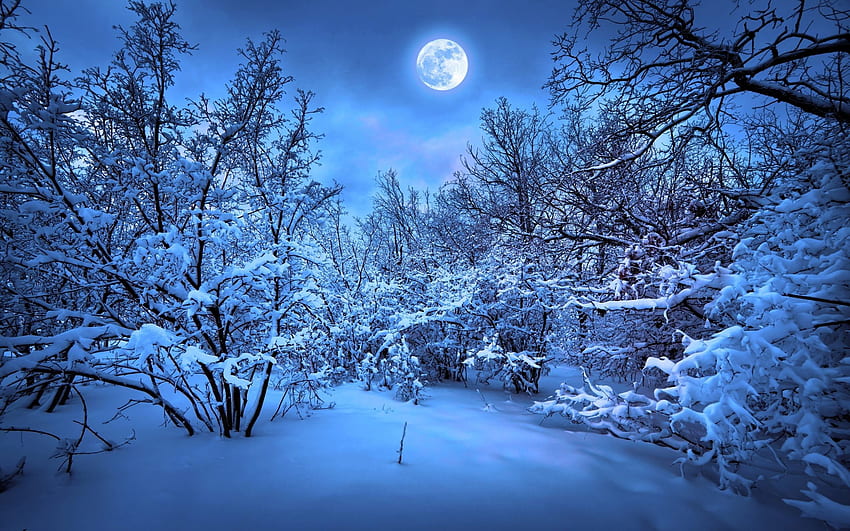 2k Free Download Winter Night Scenes Romantic Winter Hd Wallpaper Pxfuel 