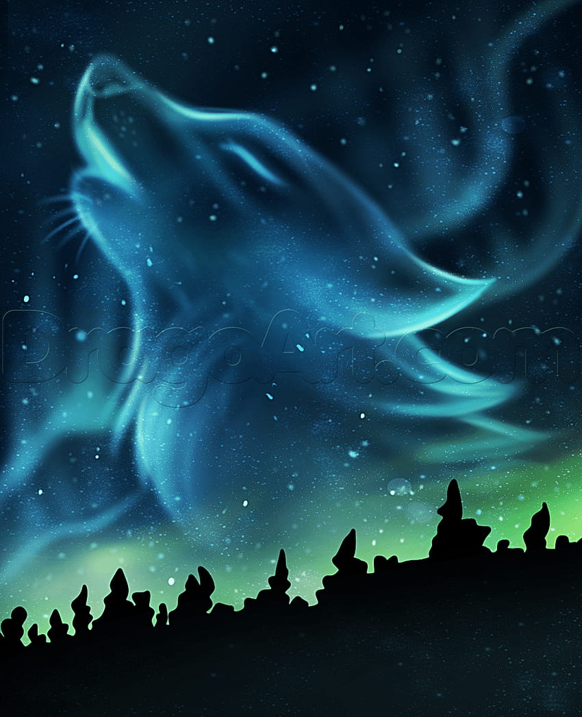 serigala - Serigala. Serigala Arktik, Serigala Roh wallpaper ponsel HD