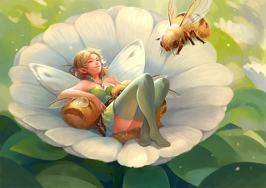 Fairy and bee, fairy, sandara, white, fantasy, bee, flower, green, girl HD wallpaper