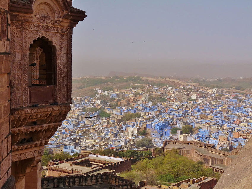 Vast views across blue city Jodhpur: blue homes, buildings & roofs HD wallpaper