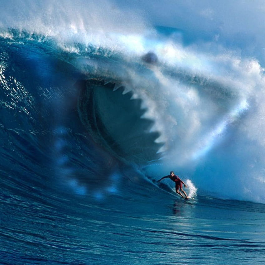 Shark Wave Water Surfing Ocean iPad Air iPhone [] за вашия мобилен телефон и таблет. Изследвайте Apple Ocean Wave. Живи океански вълни, страшни вълни HD тапет за телефон