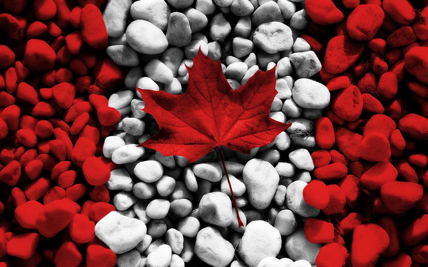 Canada, Stones, , , Sheet, Leaf, Flag HD wallpaper