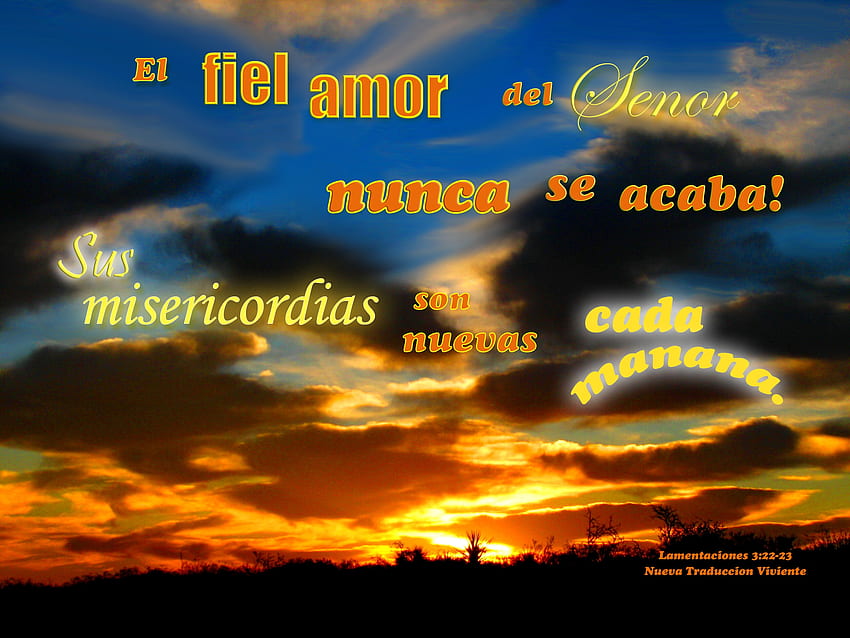 El Fiel Amor del Senor Nunca se Acaba, облаци, растения, Библия, изгрев HD тапет