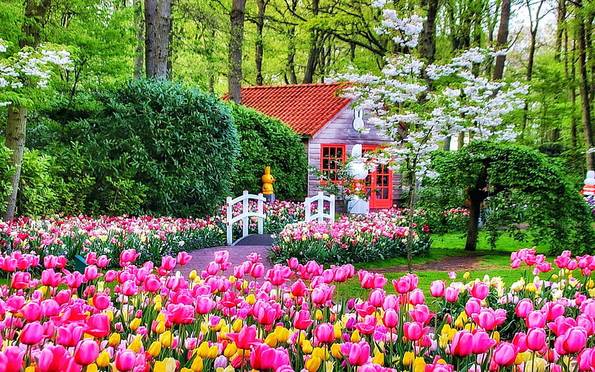 Keukenhof, Netherlands, blossoms, trees, colors, tulips, cabin HD wallpaper