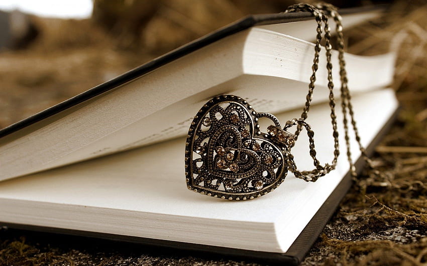 Open Book with Heart . US Open Tennis , Walking Dead Don't Open and Open Book, I Love Books HD wallpaper