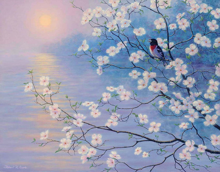 Spring song, bird, flower, pasari, spring, robert r copple, blossom, sea, blue, white, art, water HD wallpaper