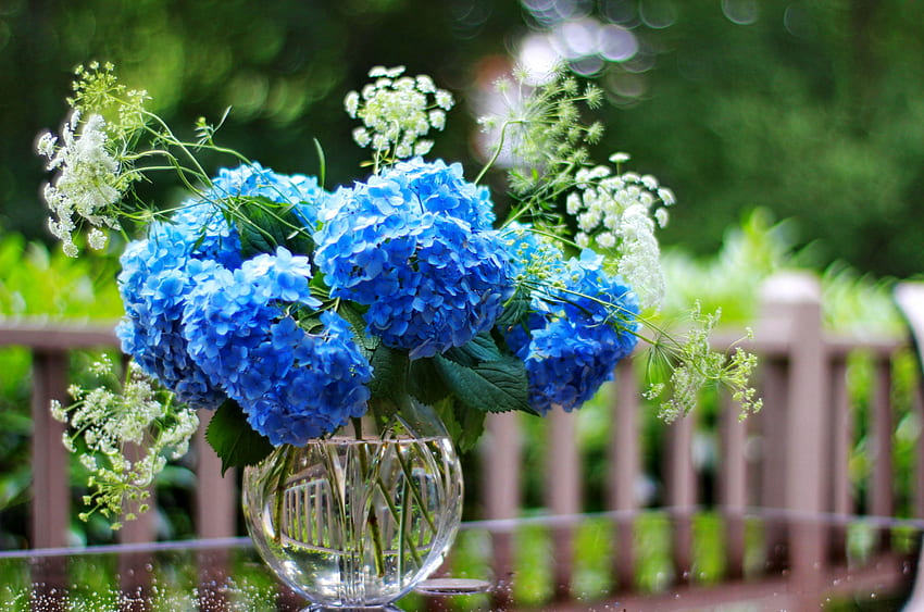 Bouquet of blue hydrangeas, blue, summer, bouquet, hydrangea, vase, garden, beautiful, spring HD wallpaper