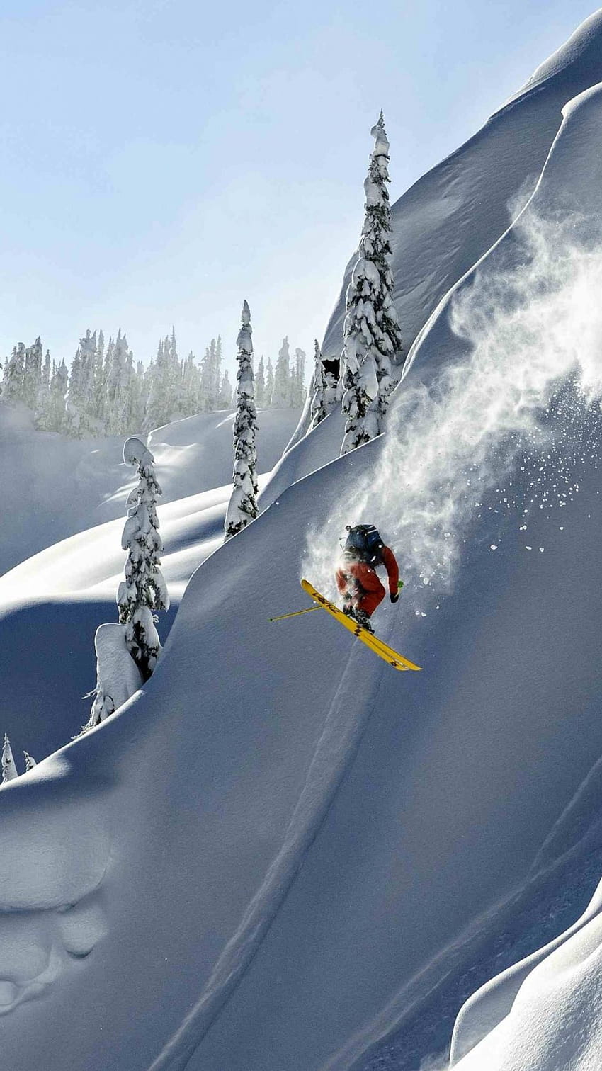 Alaska Heliskiing, , , Haines, USA, Thomas Hlawitschka, skiing, winter, snow, mountains iPhone standard HD phone wallpaper