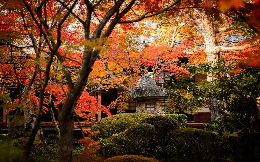 Jeffrey Friedl's Blog The Gorgeous Enkouji Temple Of North East Kyoto HD wallpaper