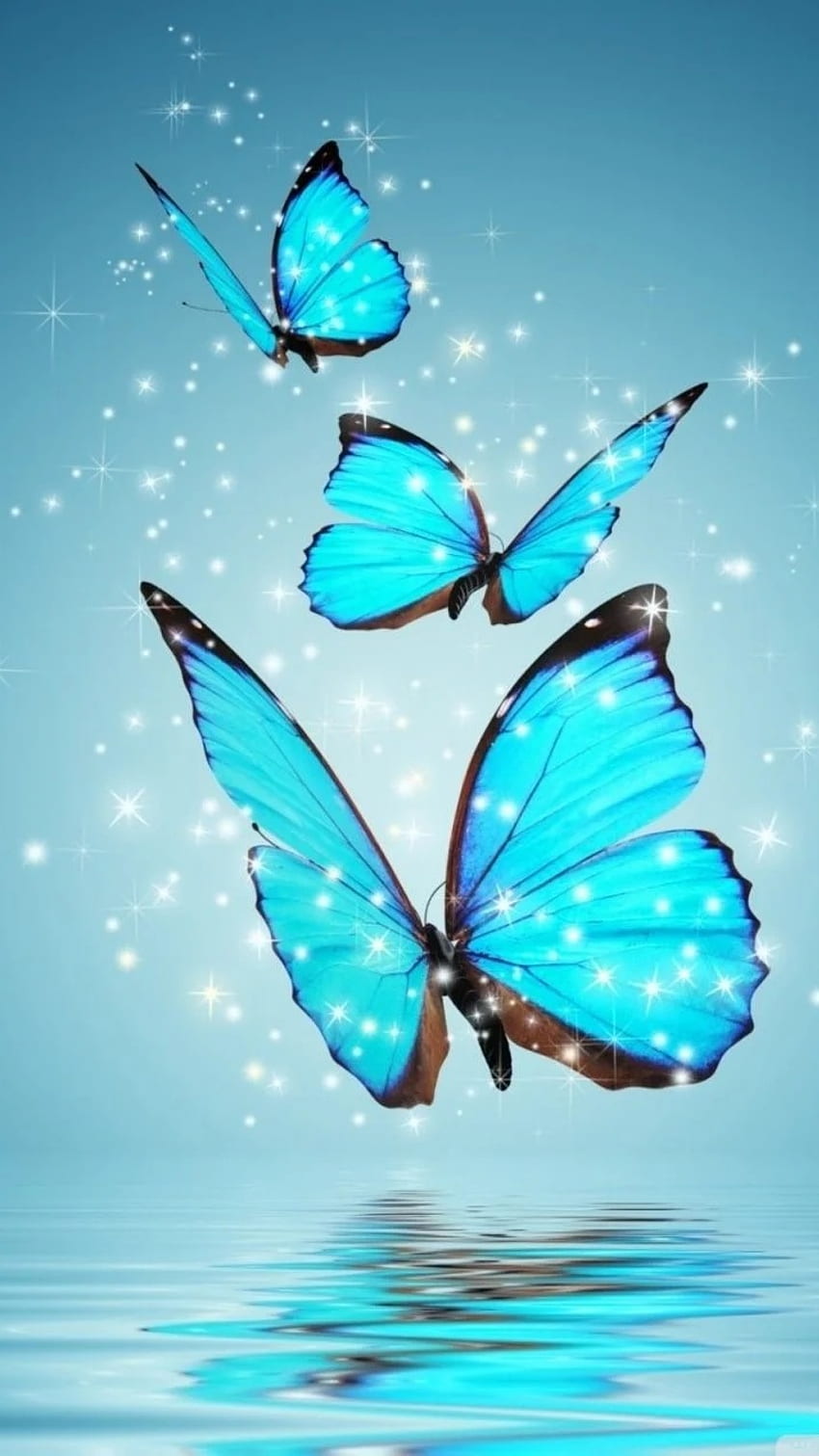 Nice, Blue Butterflies HD phone wallpaper