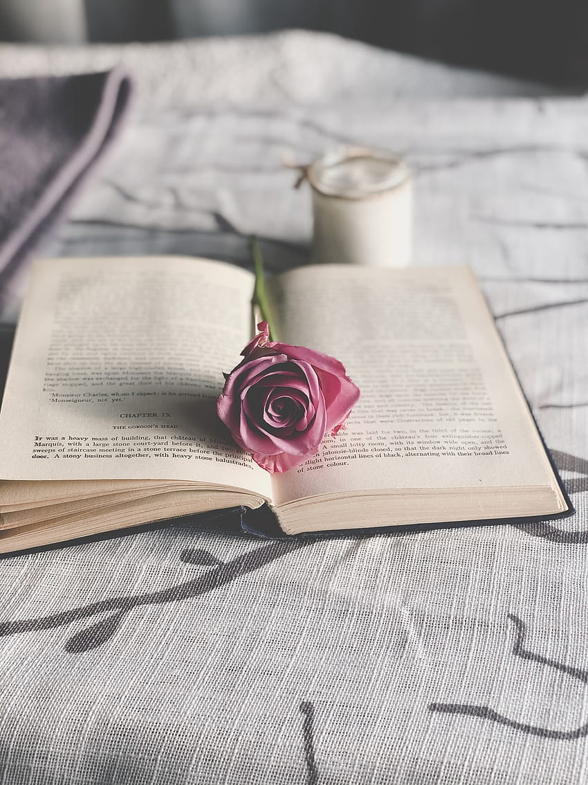 HQ Rose On Book, Book Flower HD phone wallpaper | Pxfuel