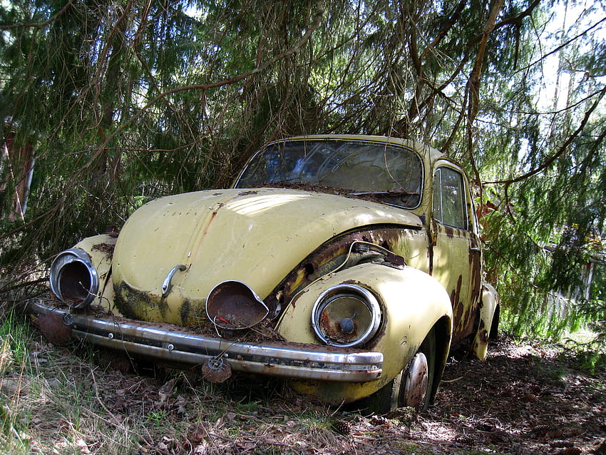 The End, car, rust, trees, grass, wheels HD wallpaper
