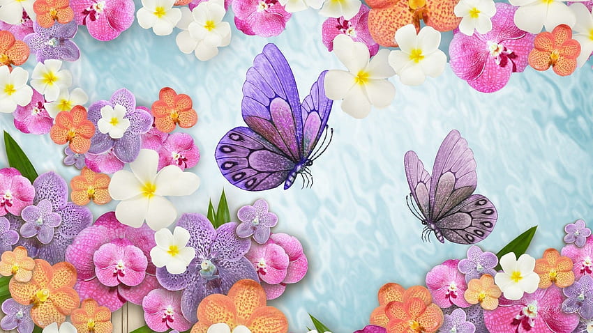 Orchid summer float . PC, Floating Purple Butterfly HD wallpaper