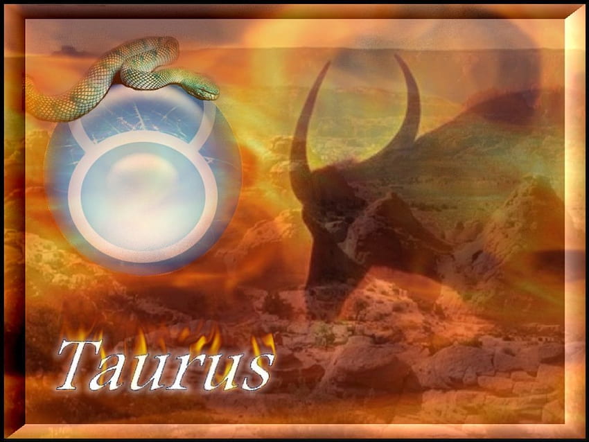 Taurus, snake, bull, horoscope, earth, sign, zodiac, astrology, fire HD wallpaper