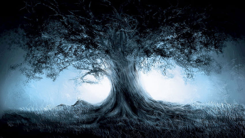 Baum, Nebel, Fantastischer / und mobiler Hintergrund, Geisterbaum HD-Hintergrundbild