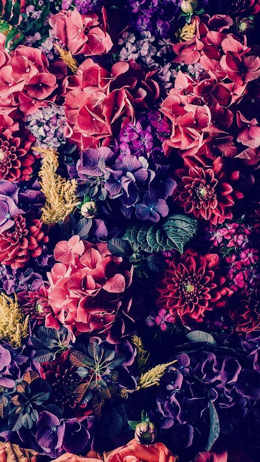 Purple flowers design HD wallpapers | Pxfuel