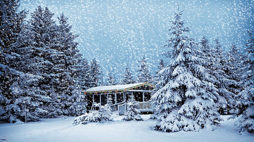 Christmas Snow , Canada Snow HD wallpaper