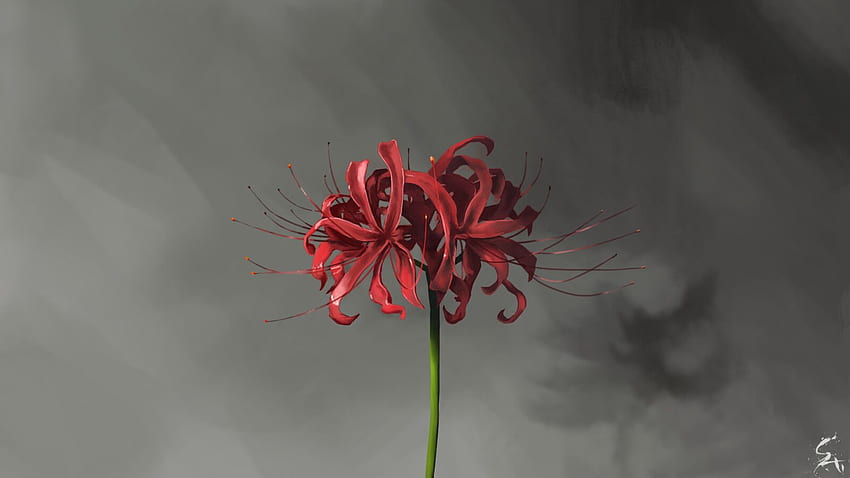 ArtStation - Die rote Spinnenlilie, Vivek Pradhan HD-Hintergrundbild