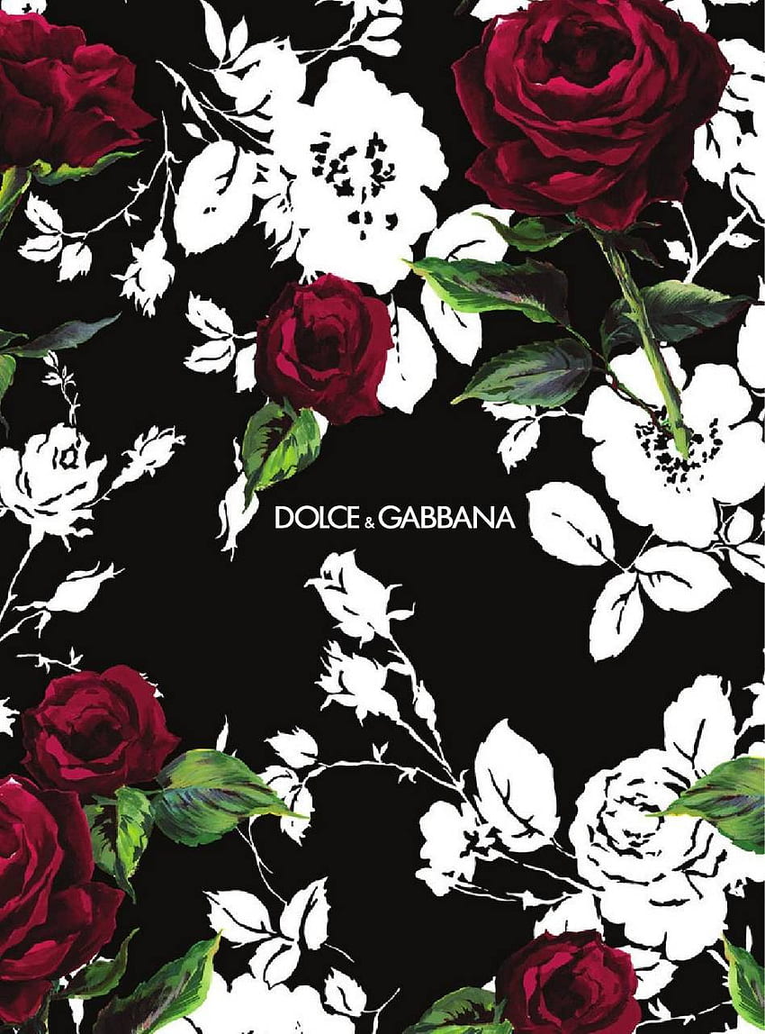 Dolce ve Gabbana HD telefon duvar kağıdı | Pxfuel