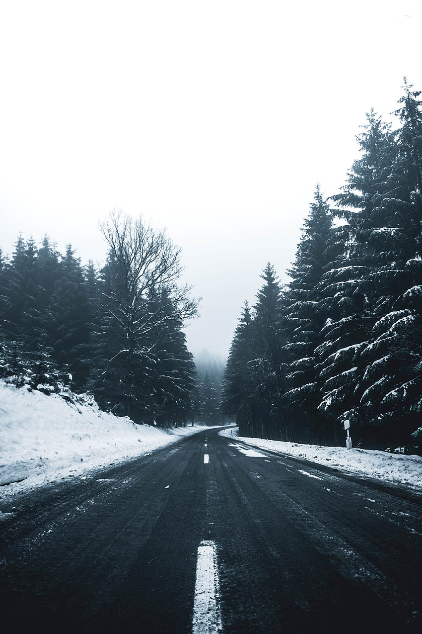 Winter, Nature, Trees, Snow, Road, Turn, Markup HD phone wallpaper