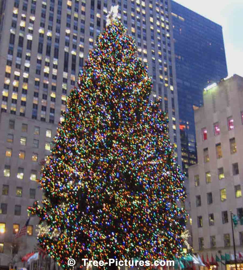 Xmas in Times Square New York, NY, Times Square Christmas HD phone ...