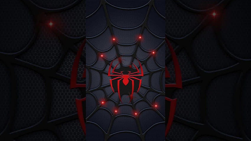 Red Spider Web Animated, 3D Spider Web HD wallpaper | Pxfuel