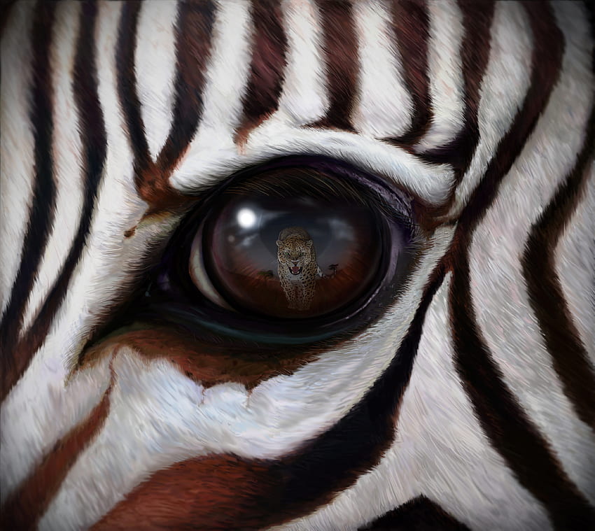 Arte, Zebra, Riflessione, Leopardo, Predatore, Occhio Sfondo HD