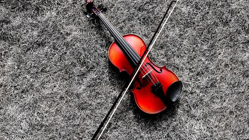 Fiddle, Violin Art HD wallpaper