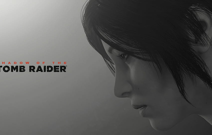 lara croft, long hair, grey background, shadow of the tomb raider for , section игры, Tomb Raider Logo HD wallpaper