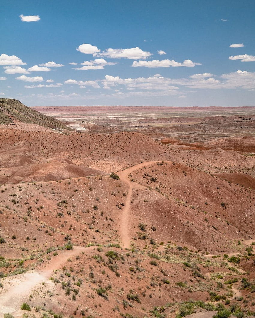 Arizona Desert, Desert Soil HD phone wallpaper