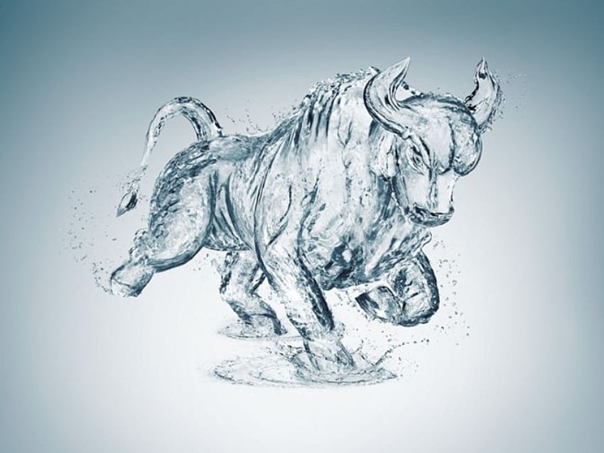 Water bull, animal, fantasy HD wallpaper