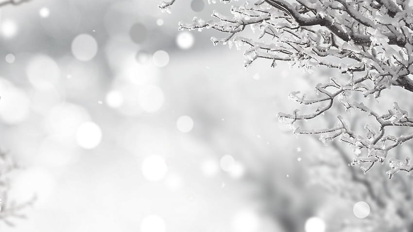 Snowy Christmas Background HD wallpaper