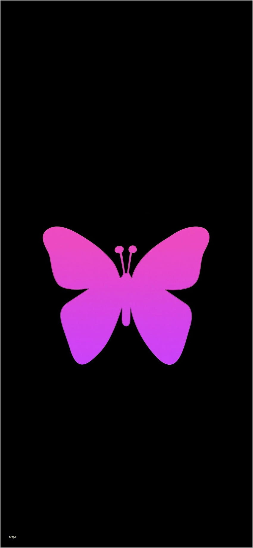 Cute Butterfly - Butterfly - & Background , Cute Cartoon Butterfly HD phone  wallpaper | Pxfuel