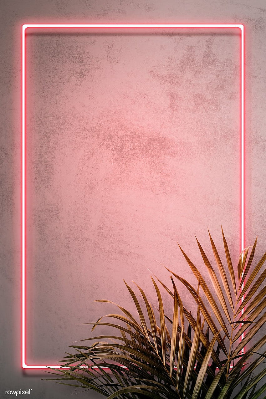 Premium-Illustration eines rosafarbenen Neonrahmens an einer Wand mit Tropen. Blumenhintergrund, Neonrahmen, Neon HD-Handy-Hintergrundbild