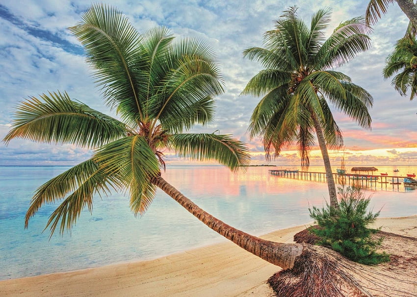 Beach in French Polynesia, sea, clouds, pier, sky, water, palmtrees HD wallpaper